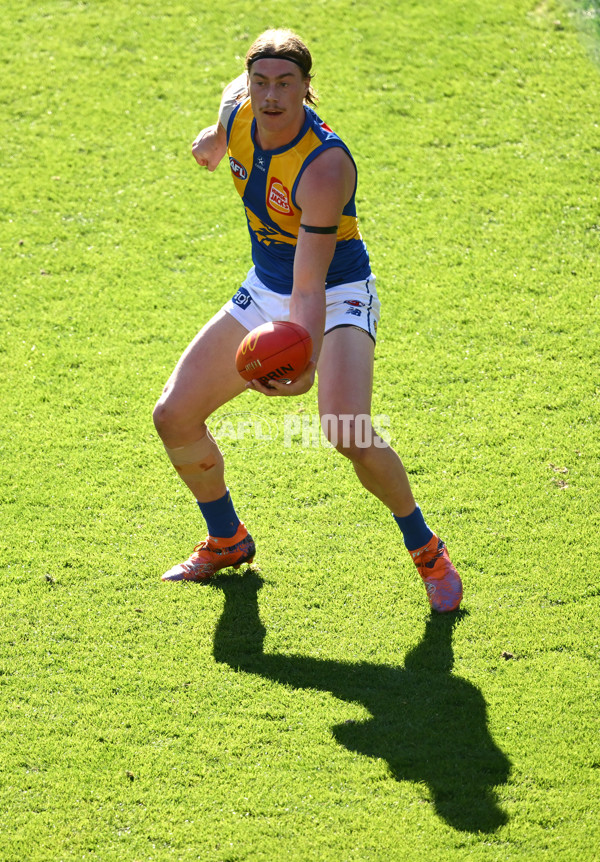 AFL 2025 Round 09 - Richmond v West Coast - A-59423599