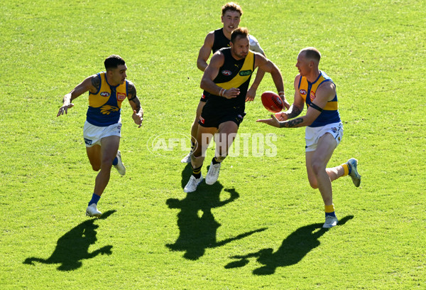 AFL 2025 Round 09 - Richmond v West Coast - A-59424790