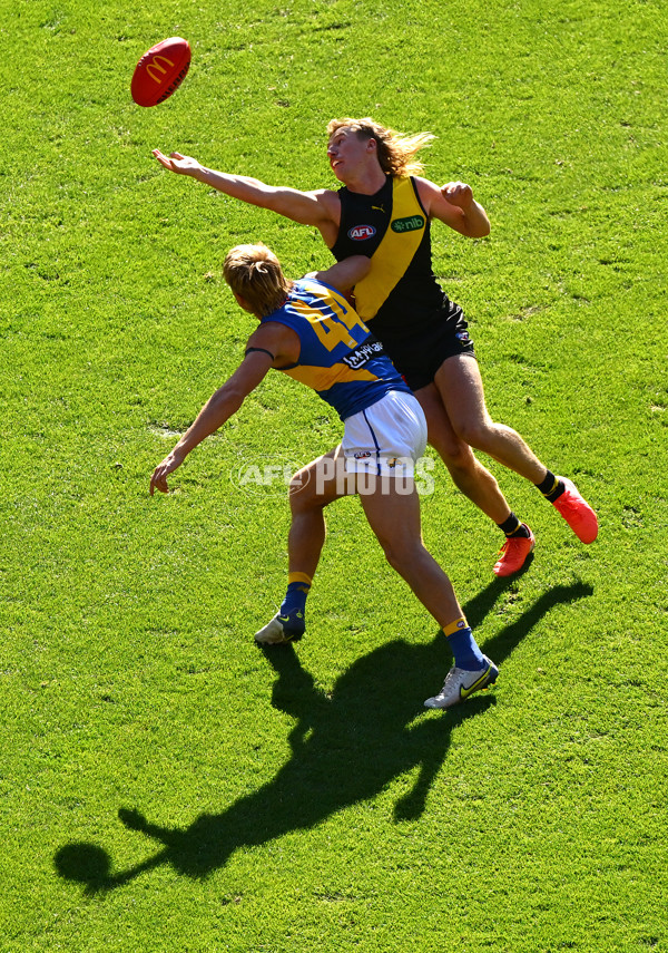 AFL 2025 Round 09 - Richmond v West Coast - A-59424792