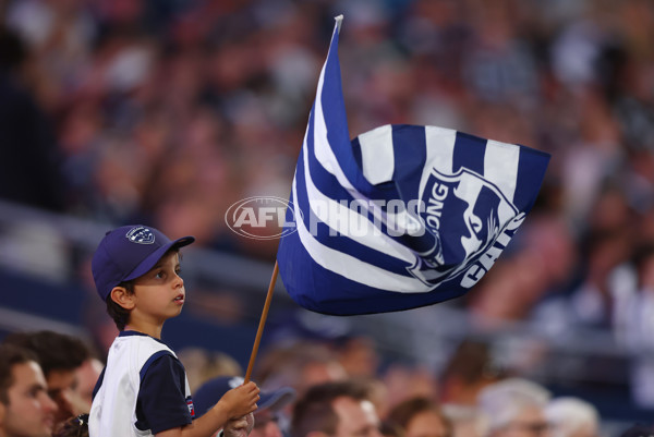 AFL 2025 Round 09 - Geelong v GWS - A-59426519