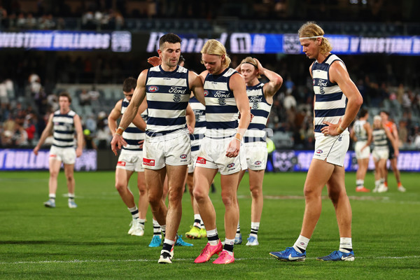 AFL 2025 Round 09 - Geelong v GWS - A-59427581