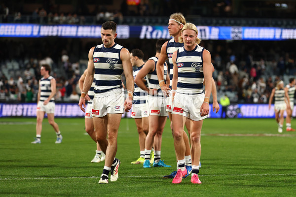 AFL 2025 Round 09 - Geelong v GWS - A-59427582