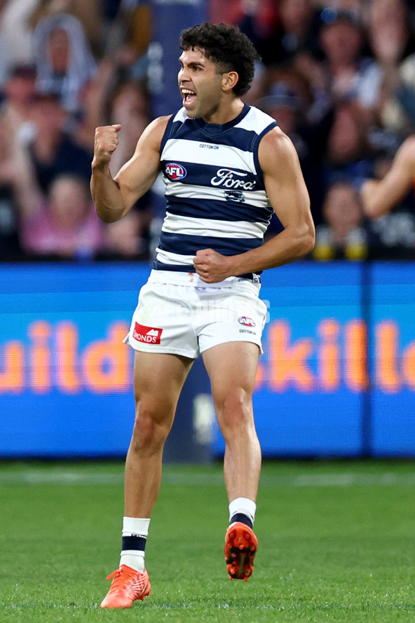 AFL 2025 Round 09 - Geelong v GWS - A-59429936