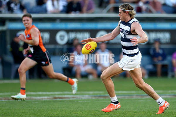 AFL 2025 Round 09 - Geelong v GWS - A-59429938
