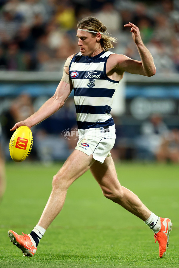 AFL 2025 Round 09 - Geelong v GWS - A-59429999