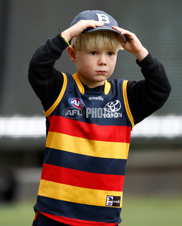 AFL 2025 Training - Adelaide 160525 - A-59472399