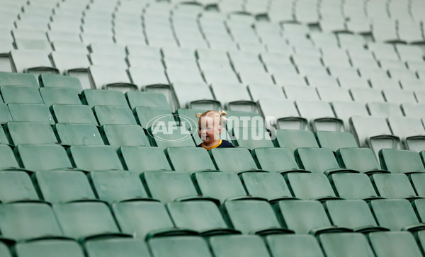 AFL 2025 Training - Adelaide 160525 - A-59472400