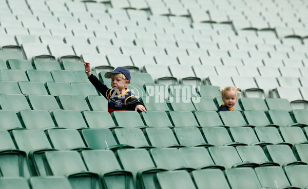 AFL 2025 Training - Adelaide 160525 - A-59472401