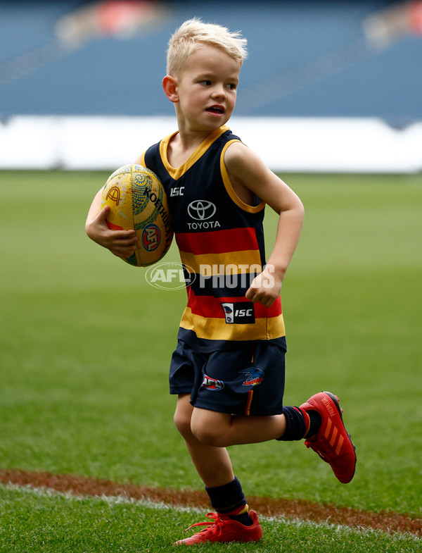 AFL 2025 Training - Adelaide 160525 - A-59473104