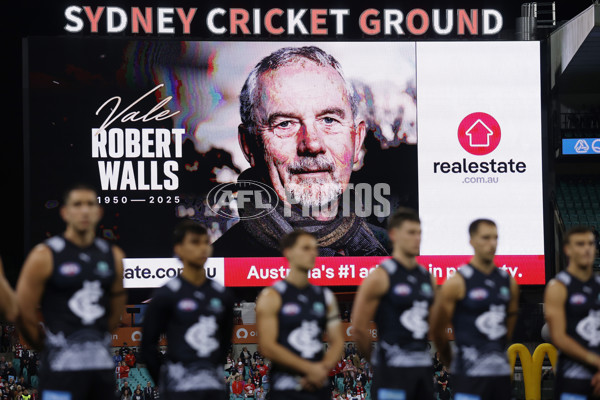 AFL 2025 Round 10 - Sydney v Carlton - A-59478364