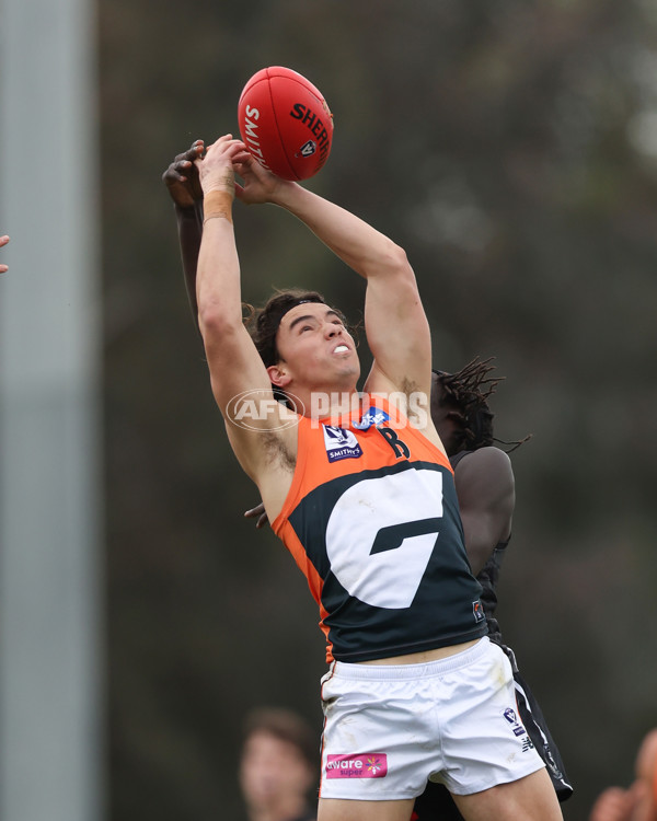 VFL 2025 Round 08 - Collingwood v GWS Giants - A-59492682