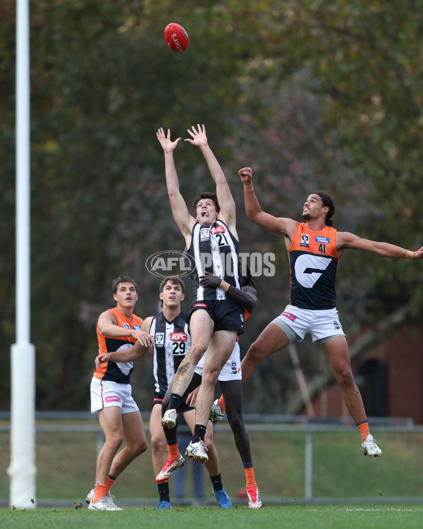 VFL 2025 Round 08 - Collingwood v GWS Giants - A-59492719