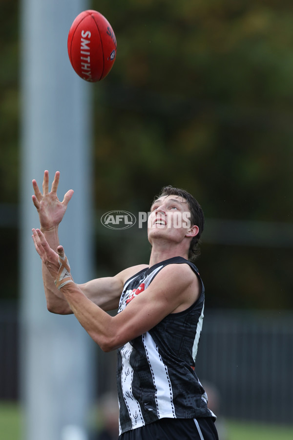 VFL 2025 Round 08 - Collingwood v GWS Giants - A-59494059