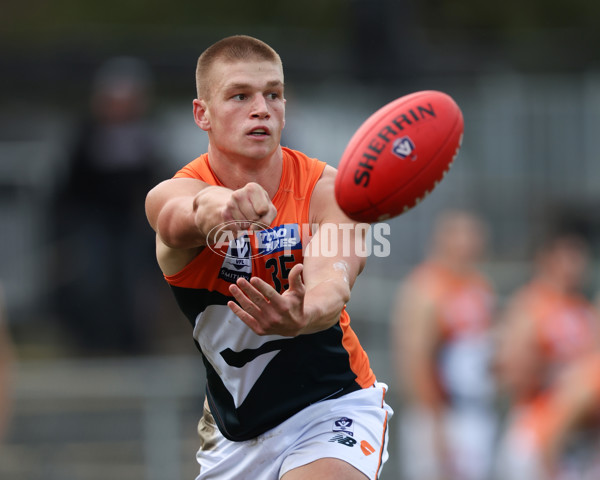 VFL 2025 Round 08 - Collingwood v GWS Giants - A-59494077