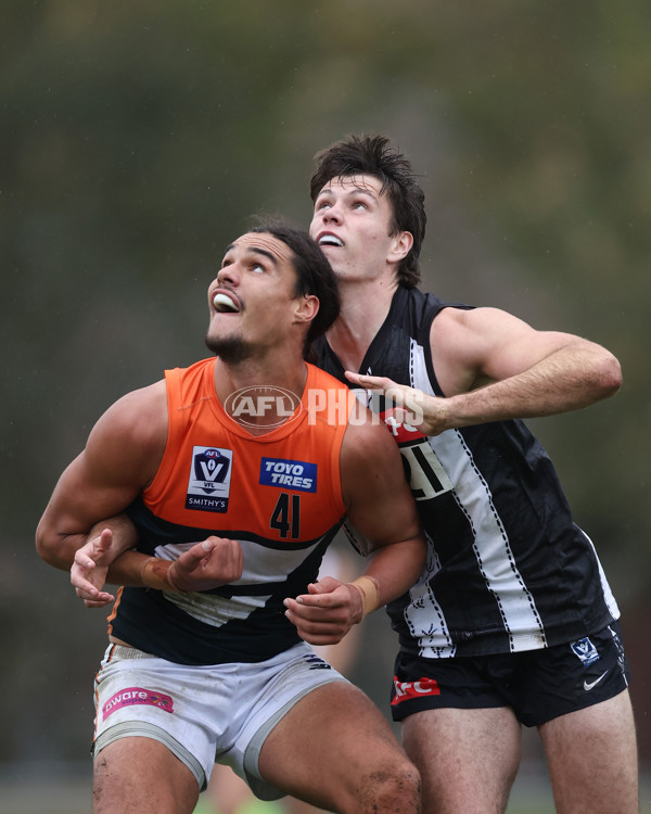 VFL 2025 Round 08 - Collingwood v GWS Giants - A-59494097