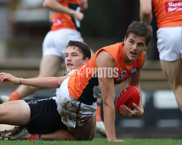 VFL 2025 Round 08 - Collingwood v GWS Giants - A-59494109