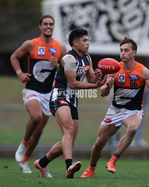 VFL 2025 Round 08 - Collingwood v GWS Giants - A-59495082