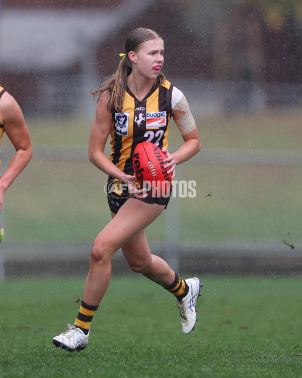 VFLW 2025 Round 08 - Collingwood v Box Hill Hawks - A-59496547