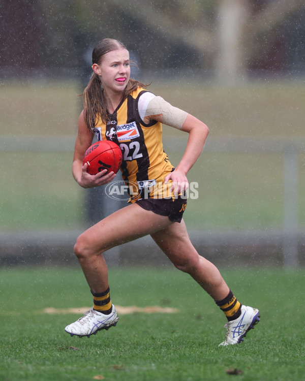 VFLW 2025 Round 08 - Collingwood v Box Hill Hawks - A-59497996