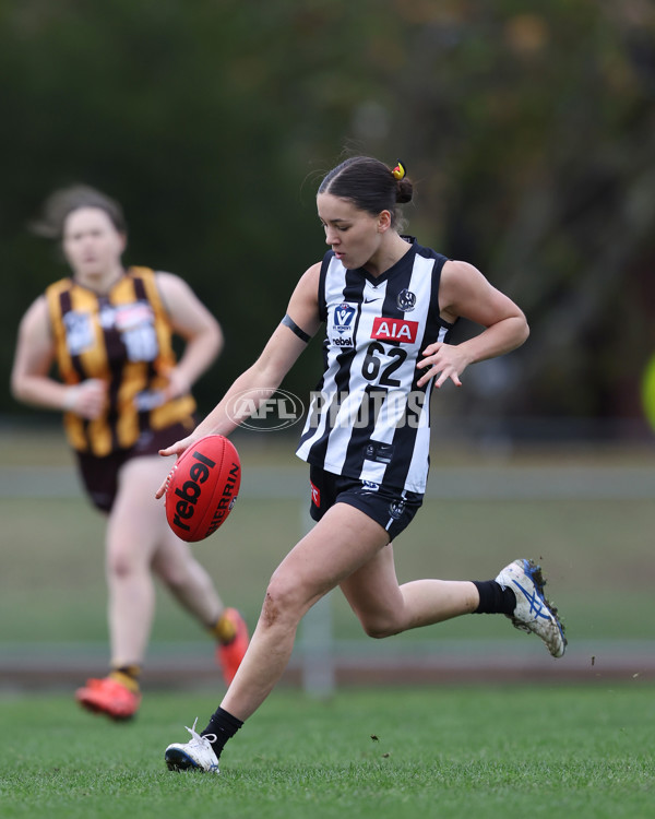 VFLW 2025 Round 08 - Collingwood v Box Hill Hawks - A-59503041