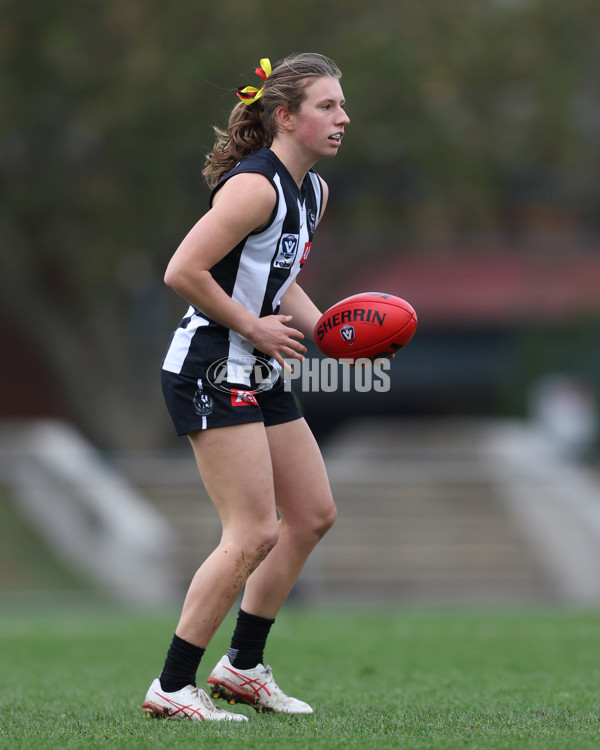 VFLW 2025 Round 08 - Collingwood v Box Hill Hawks - A-59503047