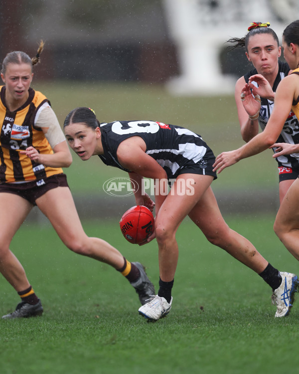 VFLW 2025 Round 08 - Collingwood v Box Hill Hawks - A-59503055