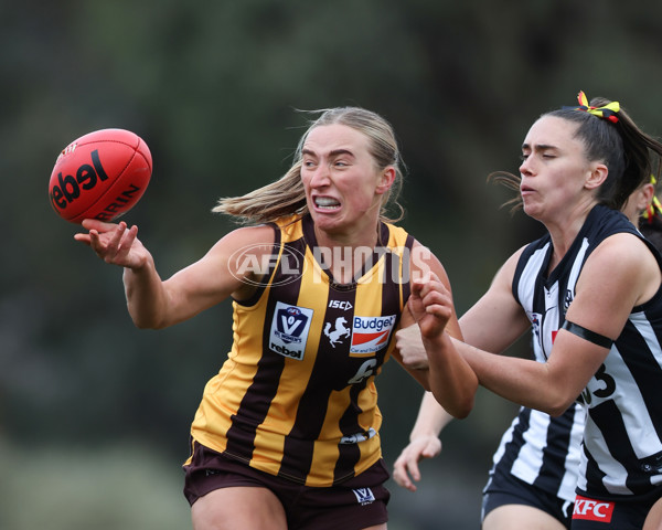 VFLW 2025 Round 08 - Collingwood v Box Hill Hawks - A-59508141