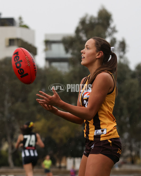VFLW 2025 Round 08 - Collingwood v Box Hill Hawks - A-59513218