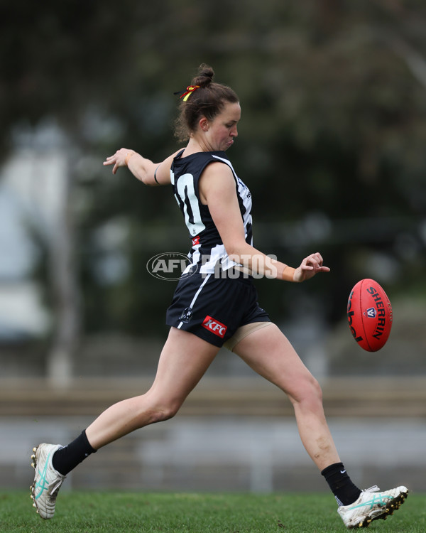 VFLW 2025 Round 08 - Collingwood v Box Hill Hawks - A-59513226