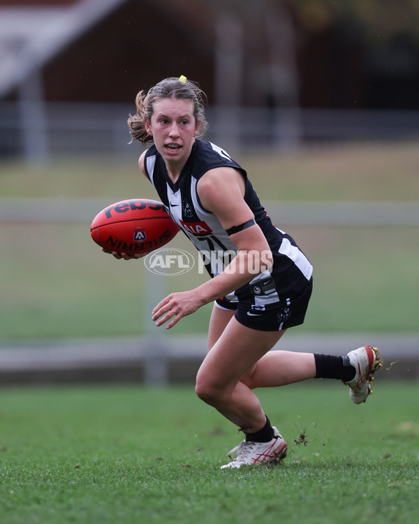 VFLW 2025 Round 08 - Collingwood v Box Hill Hawks - A-59513236