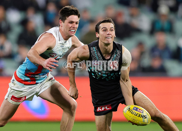 AFL 2025 Round 10 - Yartapuulti v Geelong - A-59516541
