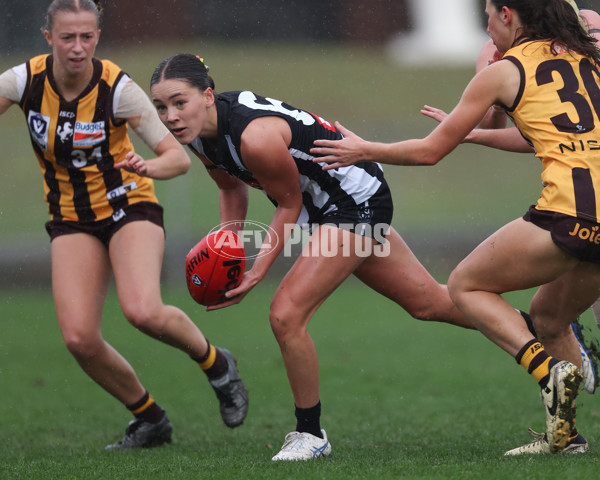 VFLW 2025 Round 08 - Collingwood v Box Hill Hawks - A-59516548