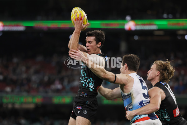 AFL 2025 Round 10 - Yartapuulti v Geelong - A-59518911