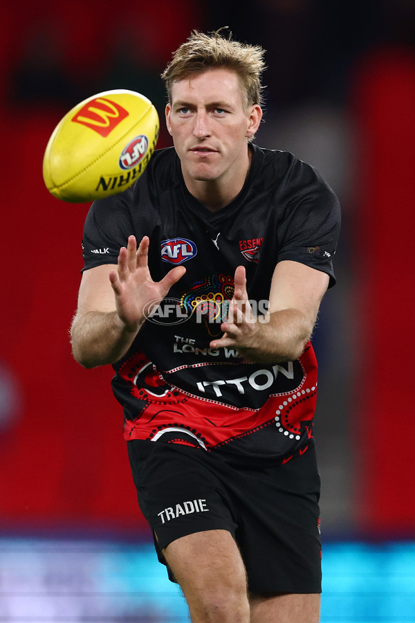 AFL 2025 Round 10 - Western Bulldogs v Essendon - A-59518946