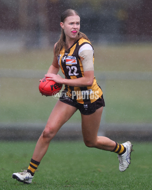 VFLW 2025 Round 08 - Collingwood v Box Hill Hawks - A-59521868