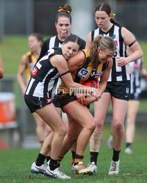 VFLW 2025 Round 08 - Collingwood v Box Hill Hawks - A-59525282