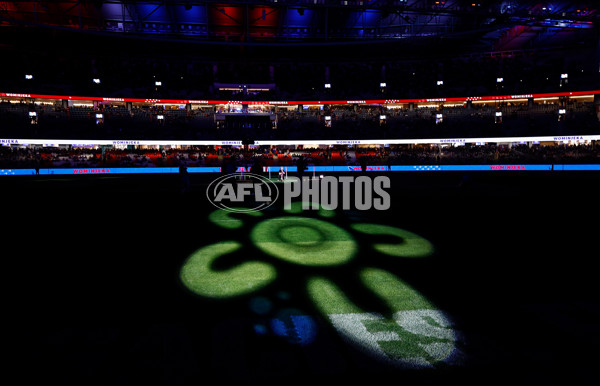 AFL 2025 Round 10 - Western Bulldogs v Essendon - A-59527773