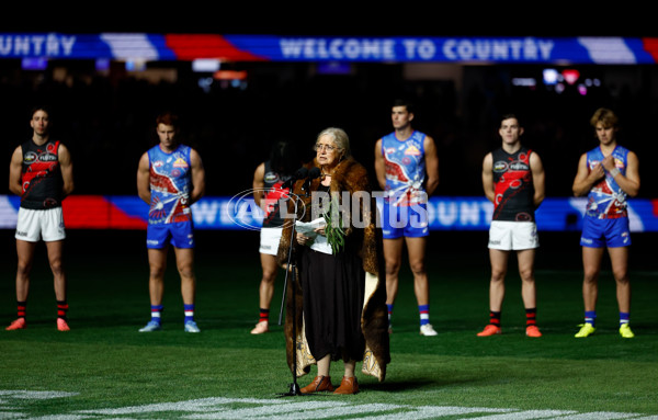 AFL 2025 Round 10 - Western Bulldogs v Essendon - A-59529537