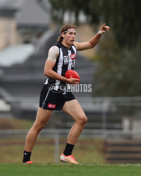 VFL 2025 Round 08 - Collingwood v GWS Giants - A-59532393