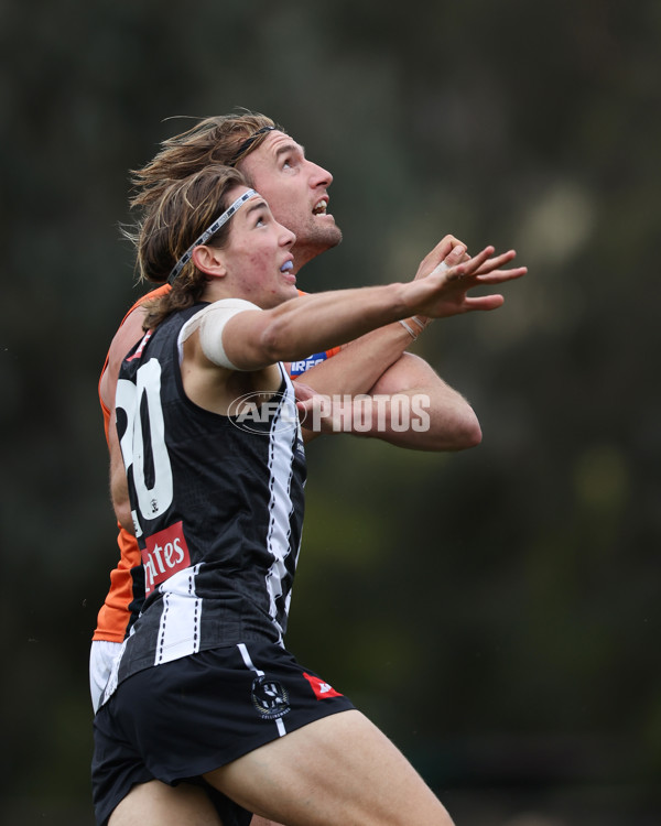 VFL 2025 Round 08 - Collingwood v GWS Giants - A-59532475