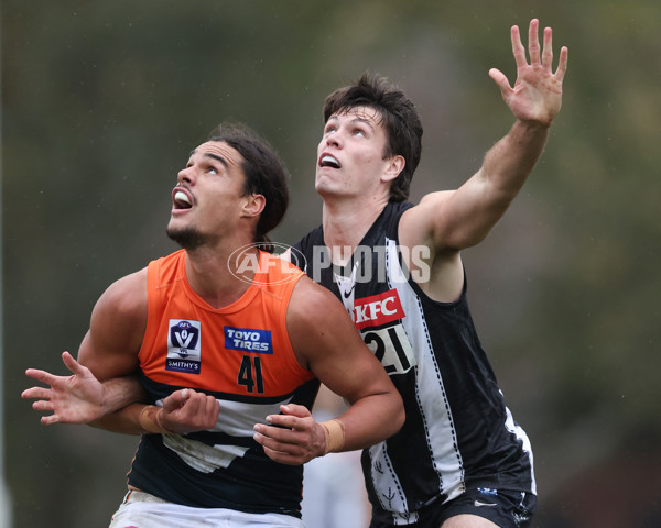 VFL 2025 Round 08 - Collingwood v GWS Giants - A-59537890