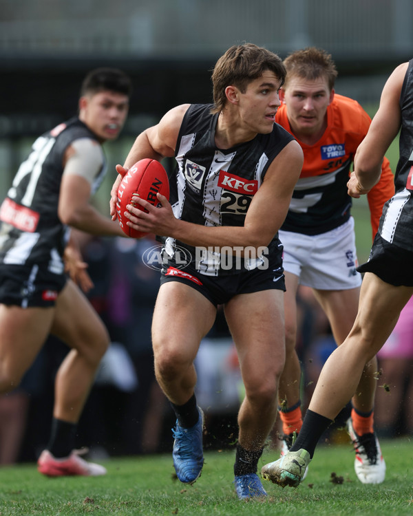 VFL 2025 Round 08 - Collingwood v GWS Giants - A-59579234