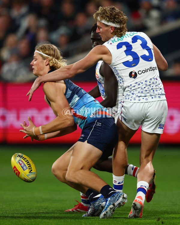 AFL 2025 Round 11 - Geelong v Western Bulldogs - A-59603957
