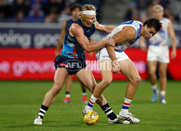 AFL 2025 Round 11 - Geelong v Western Bulldogs - A-59603972