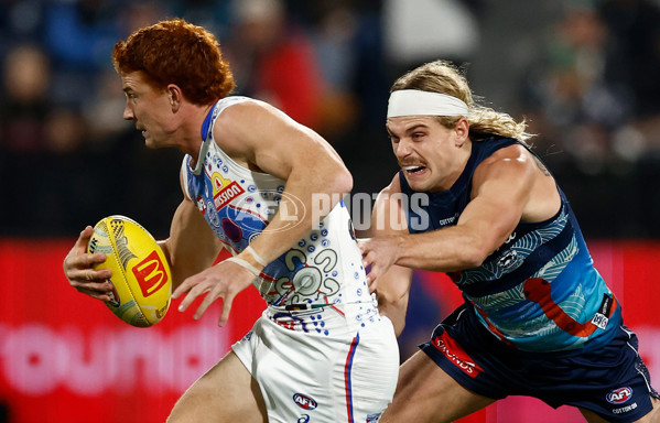 AFL 2025 Round 11 - Geelong v Western Bulldogs - A-59604148