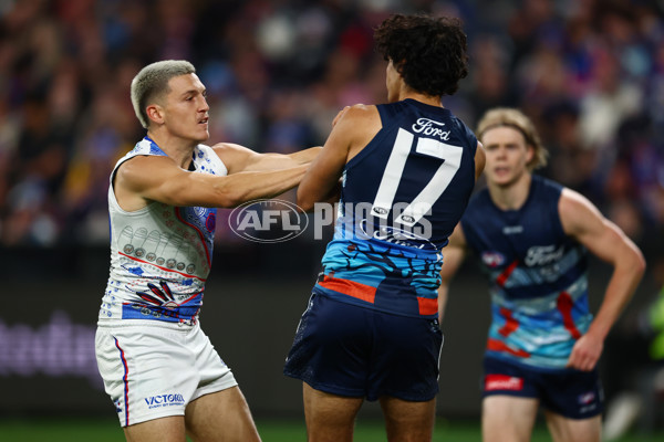 AFL 2025 Round 11 - Geelong v Western Bulldogs - A-59606375