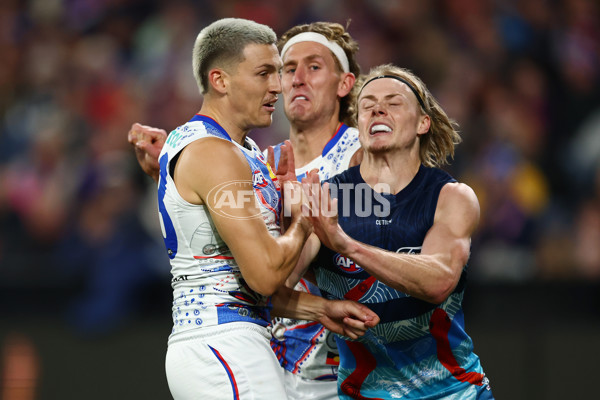 AFL 2025 Round 11 - Geelong v Western Bulldogs - A-59606670