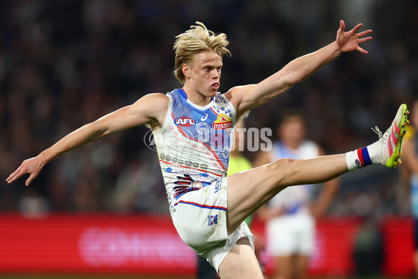 AFL 2025 Round 11 - Geelong v Western Bulldogs - A-59606671