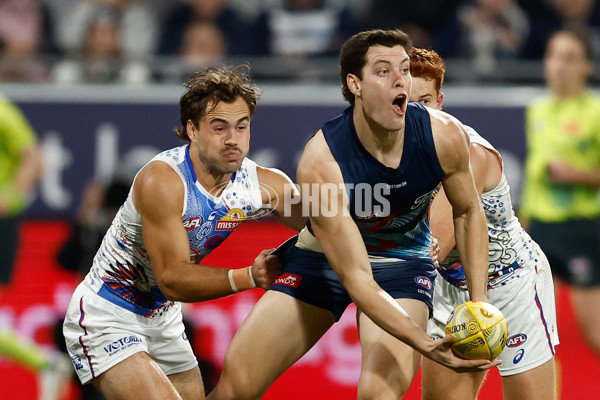 AFL 2025 Round 11 - Geelong v Western Bulldogs - A-59606694