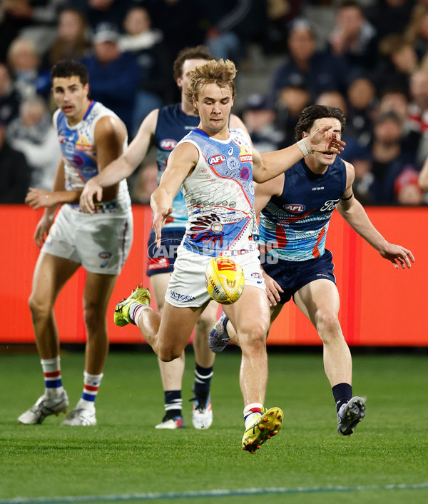 AFL 2025 Round 11 - Geelong v Western Bulldogs - A-59606699